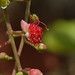 Eugenia Sharp Photo 6