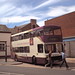 Elizabeth Ribble Photo 5