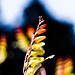 Mark Hoelscher Photo 11