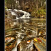 Don Saunders Photo 9