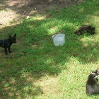 Dorothy Conner Photo 11