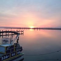 Stacy Schaffer Photo 25