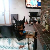 Nancy Rausch Photo 14
