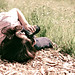 Laurie Vaughn Photo 9