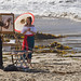 Vicki Strand Photo 13