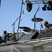 Bobby Bray Photo 11