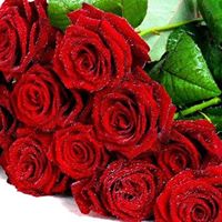 Saima Zafar Photo 21