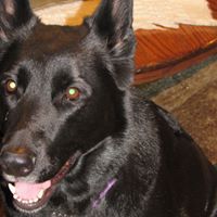 Cindy Burris Photo 44