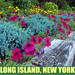 August Long Photo 8