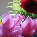 Anne Flores Photo 8