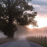 Linda Bamford Photo 24
