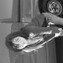Rachel Dredge Photo 7