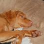 Janet Bohannon Photo 3