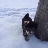 Christine Chipman Photo 11