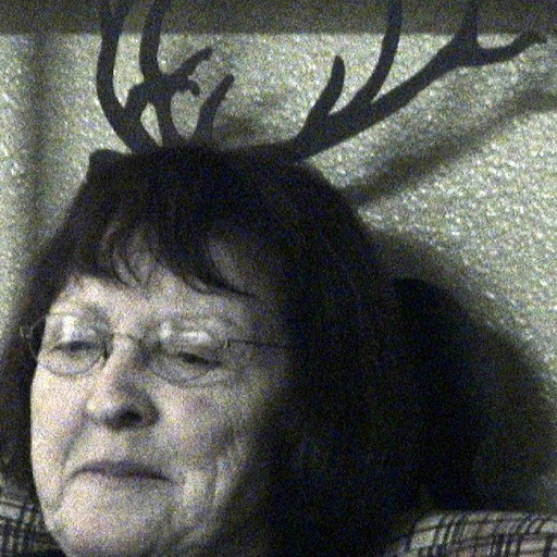 Darlene Lucas Photo 29