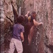 Michele Cody Photo 8