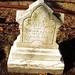 John Tuttle Photo 15
