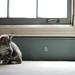 Cindy Young Photo 10