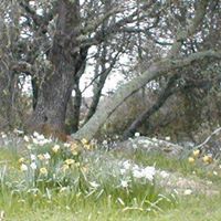 Joanne Travers Photo 16