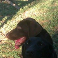 Melissa Mccrary Photo 36