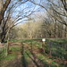 James Hatten Photo 11