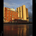 Ally Mills Photo 14