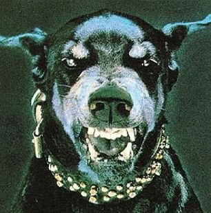 Dan Wesson Photo 2