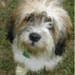 Melinda Lloyd Photo 16
