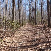 Marie Carr Photo 46