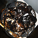 Debra Morley Photo 14