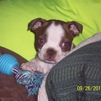 Deborah Bergeron Photo 34