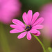 Claude Sharp Photo 2