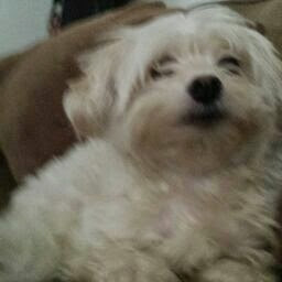 Debra Krueger Photo 31