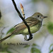 Jeff Franke Photo 20