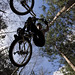 Joy Meeks Photo 9