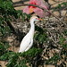 Sam Crowe Photo 10