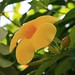Oanh Phan Photo 22