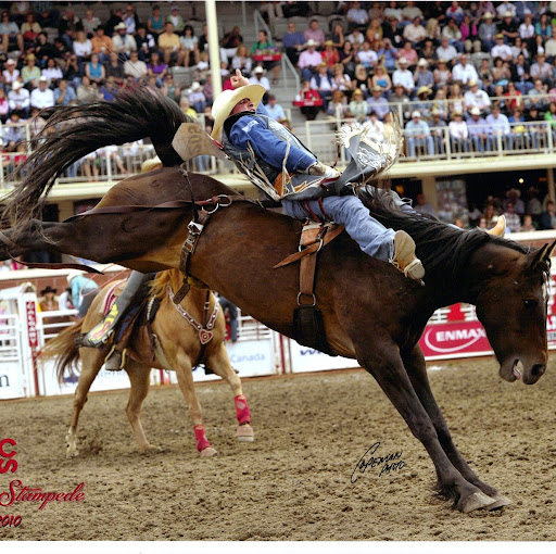 Carol Dawson Photo 42