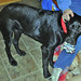 Elizabeth Boyer Photo 25