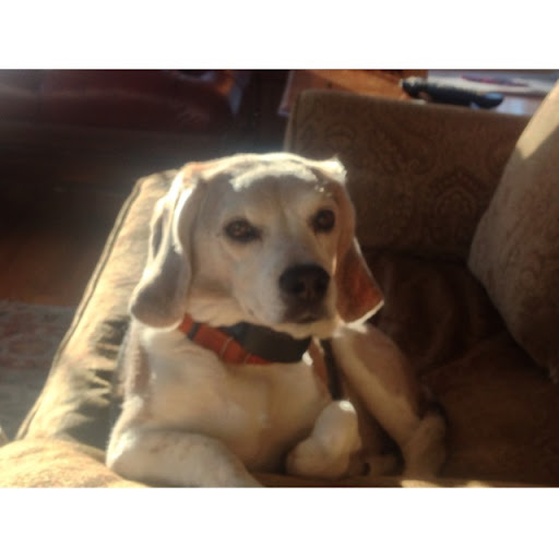 Susan Connors Photo 33