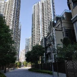 Alan Choi Photo 38