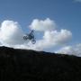 Wayne Greene Photo 44