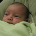 Jillian Green Photo 9