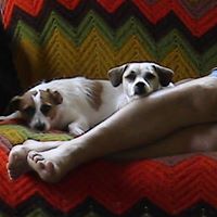 Bonnie Summers Photo 23