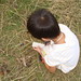 Chong Cho Photo 11