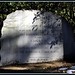 Eugene Christie Photo 9