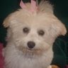 Carol Frank Photo 44