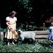 Judy Lamb Photo 19