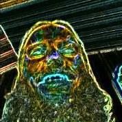 Shawn Tuttle Photo 9