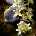 Barbara Whitesell Photo 1